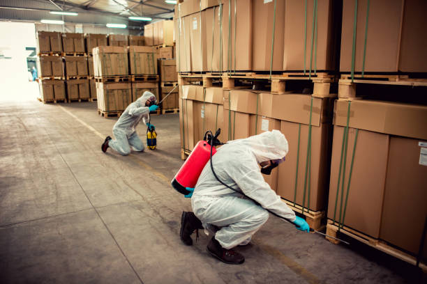 Best Pest Control Treatment  in Coconut Creek, FL