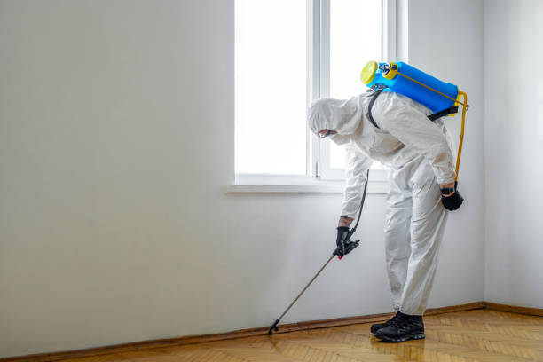 Best Cockroach Control Services  in Coconut Creek, FL