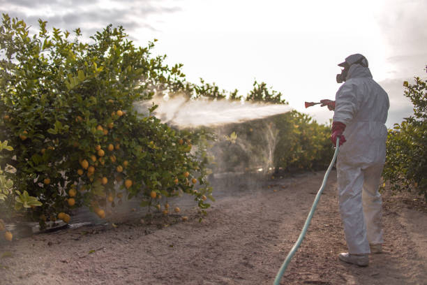 Wildlife Control Services in Coconut Creek, FL