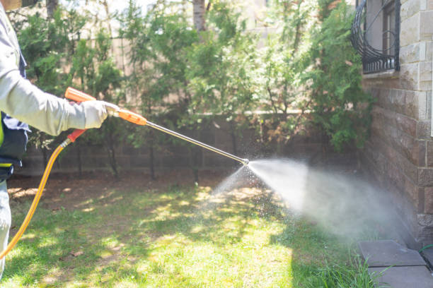 Best Local Pest Control Services  in Coconut Creek, FL
