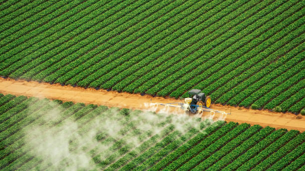 Best Pest Control for Homes  in Coconut Creek, FL