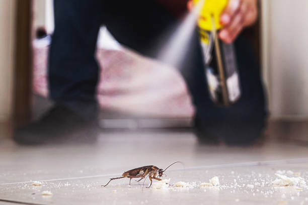 Best Bed Bug Extermination  in Coconut Creek, FL
